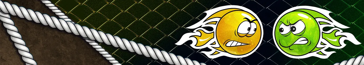 Międzynarodowa Liga MMA